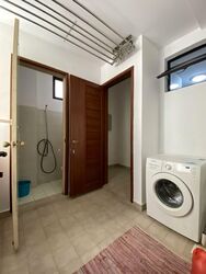 Seasons Park (D26), Condominium #558400851